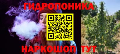круглые Сланцы
