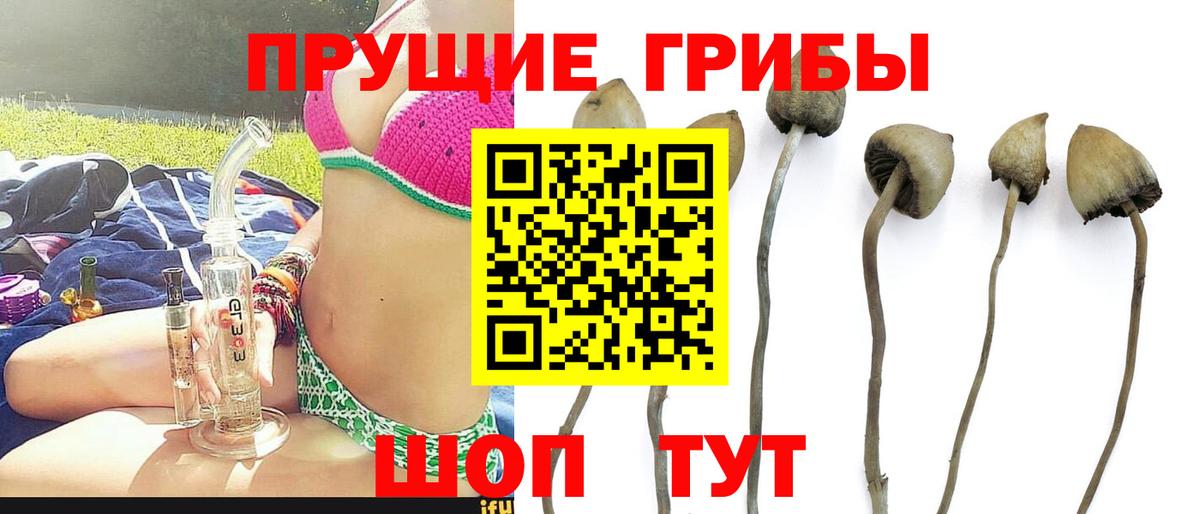Новочеркасск  Галлюциногенные грибы MAGIC MUSHROOMS  Псилоцибиновые грибы GOLDEN TEACHER  Вход с VPN 