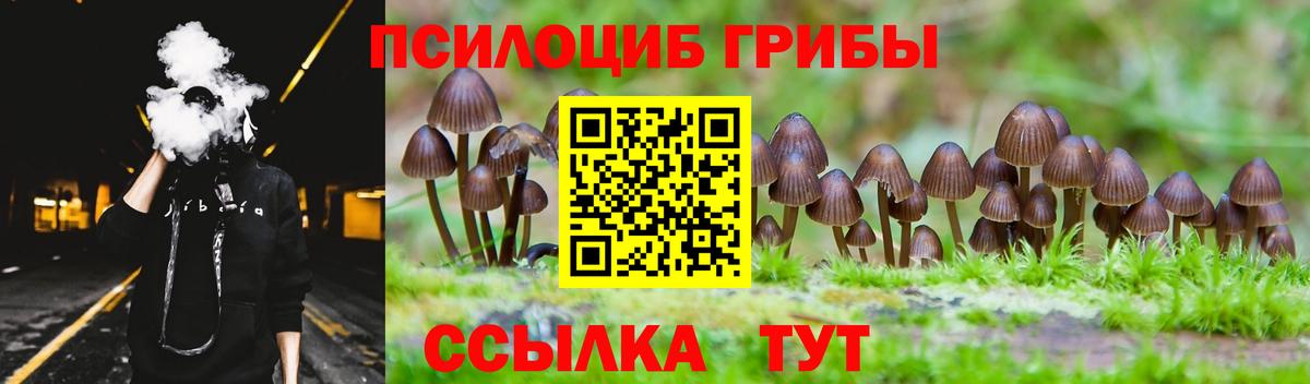 Галлюциногенные грибы Psilocybine cubensis Новочеркасск