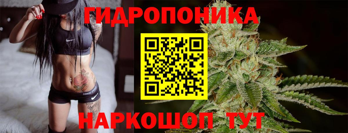 Марихуана сатива  Конопля White Widow  Новочеркасск  Вход с VPN  Бошки марихуана Ganja 